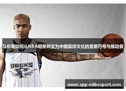 马布里如何从NBA明星蜕变为中国篮球文化的重要符号与推动者